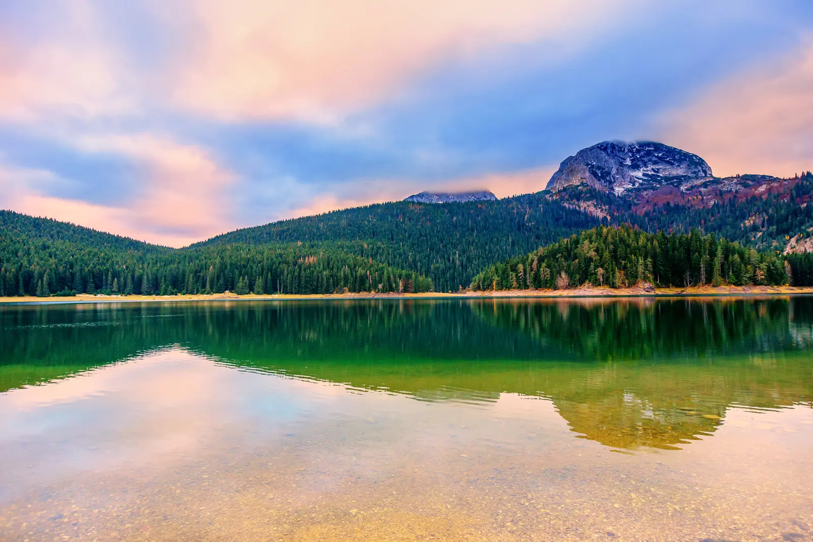 gallery.images.13